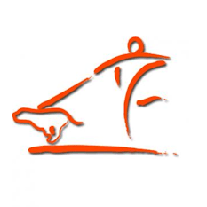 Originallogo